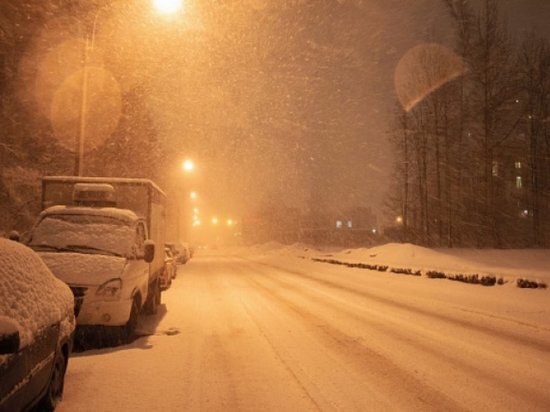     фото густаво зырянова/"мк в новосибирске"