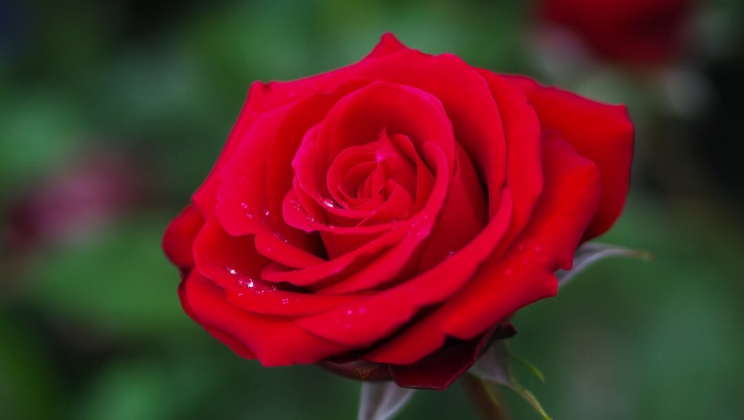 Фото из интернета