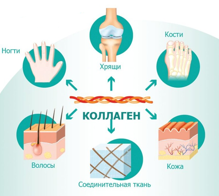 Источник фото Яндекс картинки 