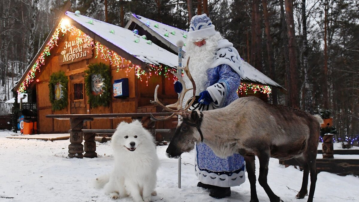    Почтариум Деда Мороза в Красноярске© РИА Новости . Илья Наймушин