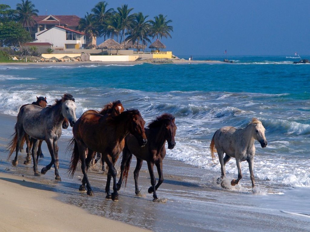 Фотогалерея курорта Кабарете