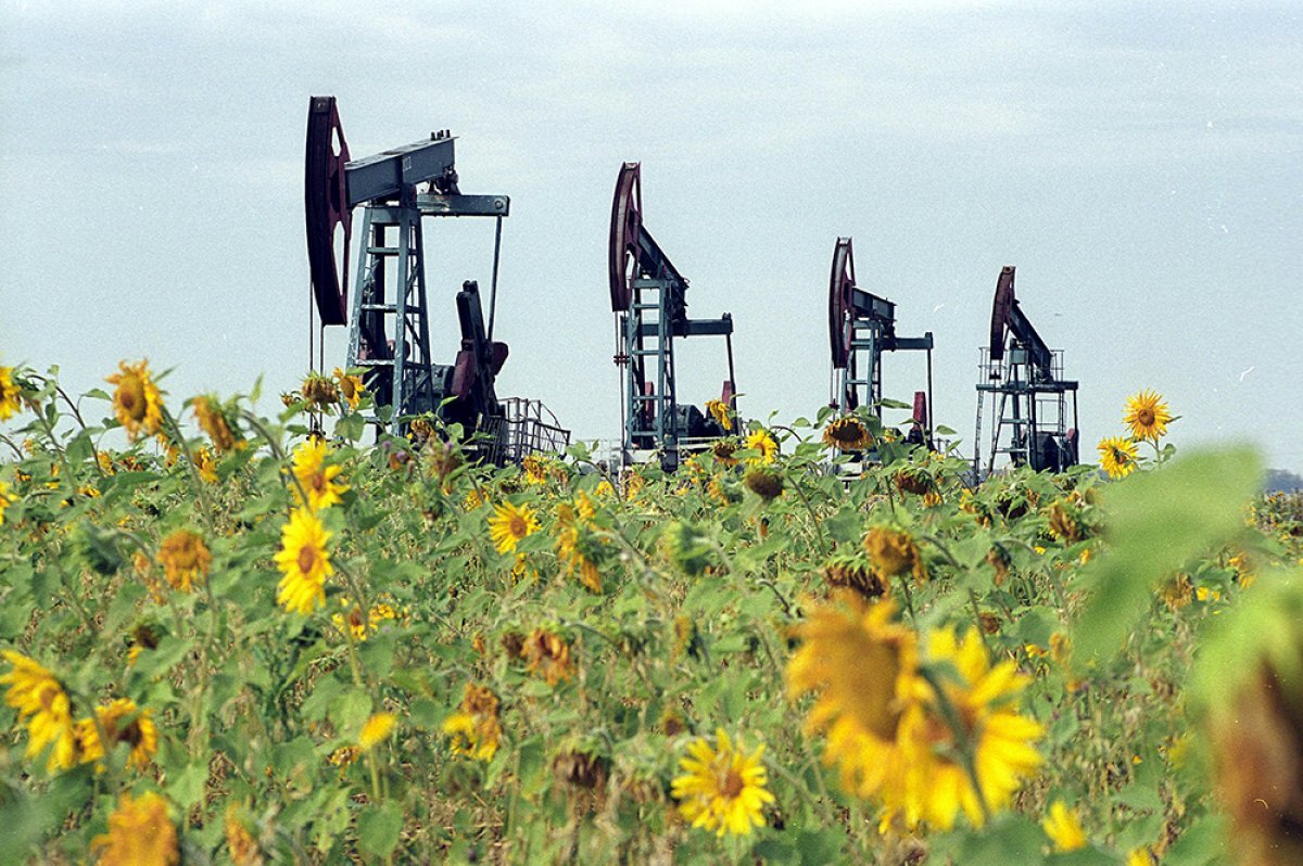    Три ядовитых нефтяных озера ликвидируют в Ингушетии в 2023 году