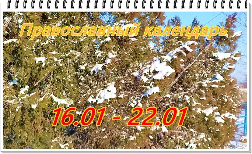 Какой сегодня день 16 января