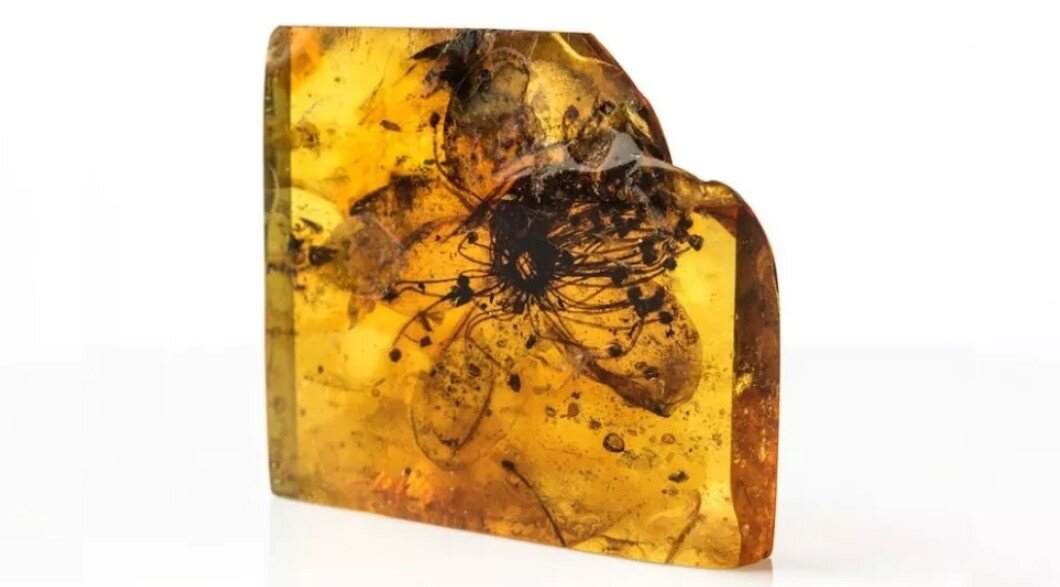 фото из открытых источников