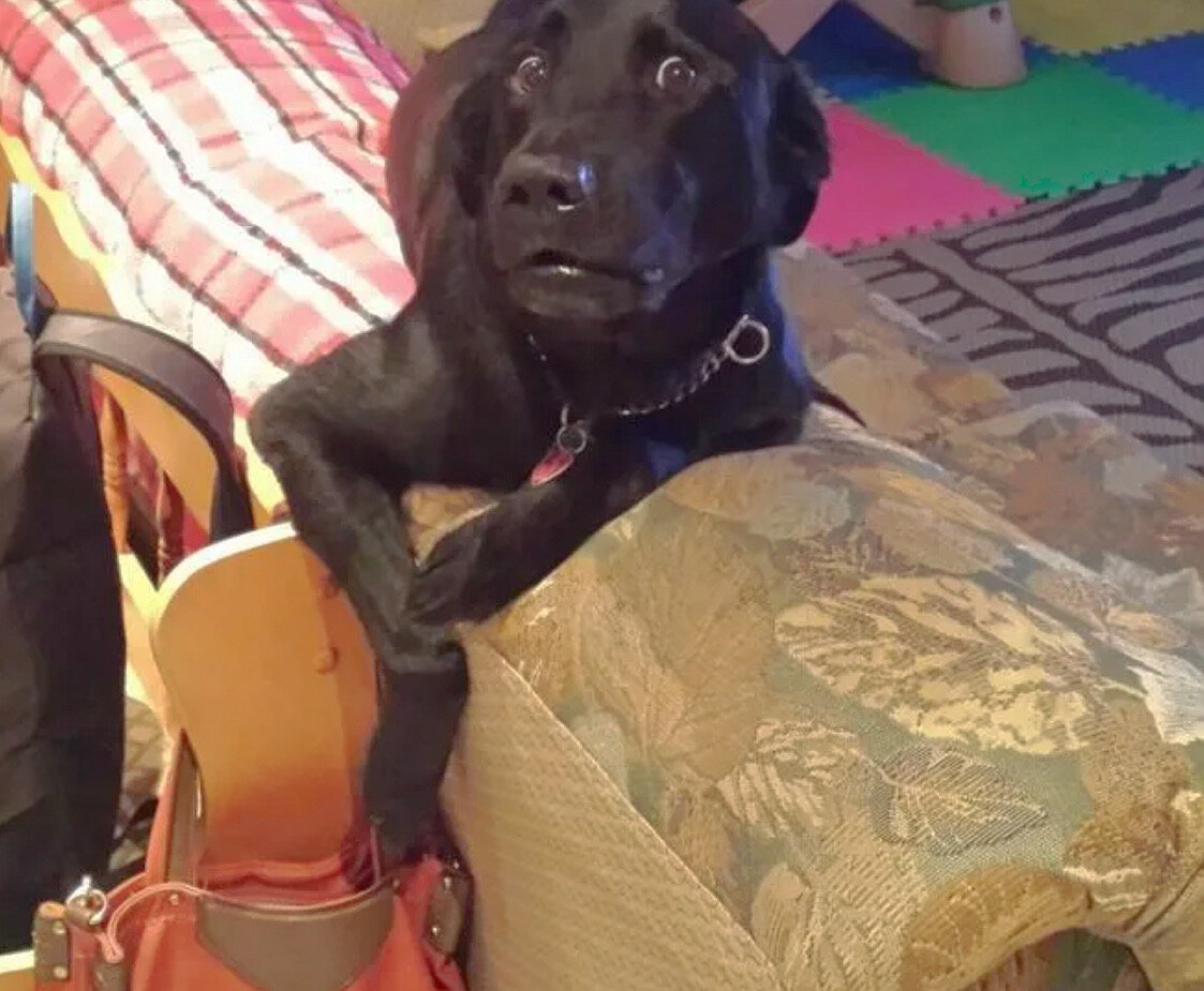 Фото из интернета