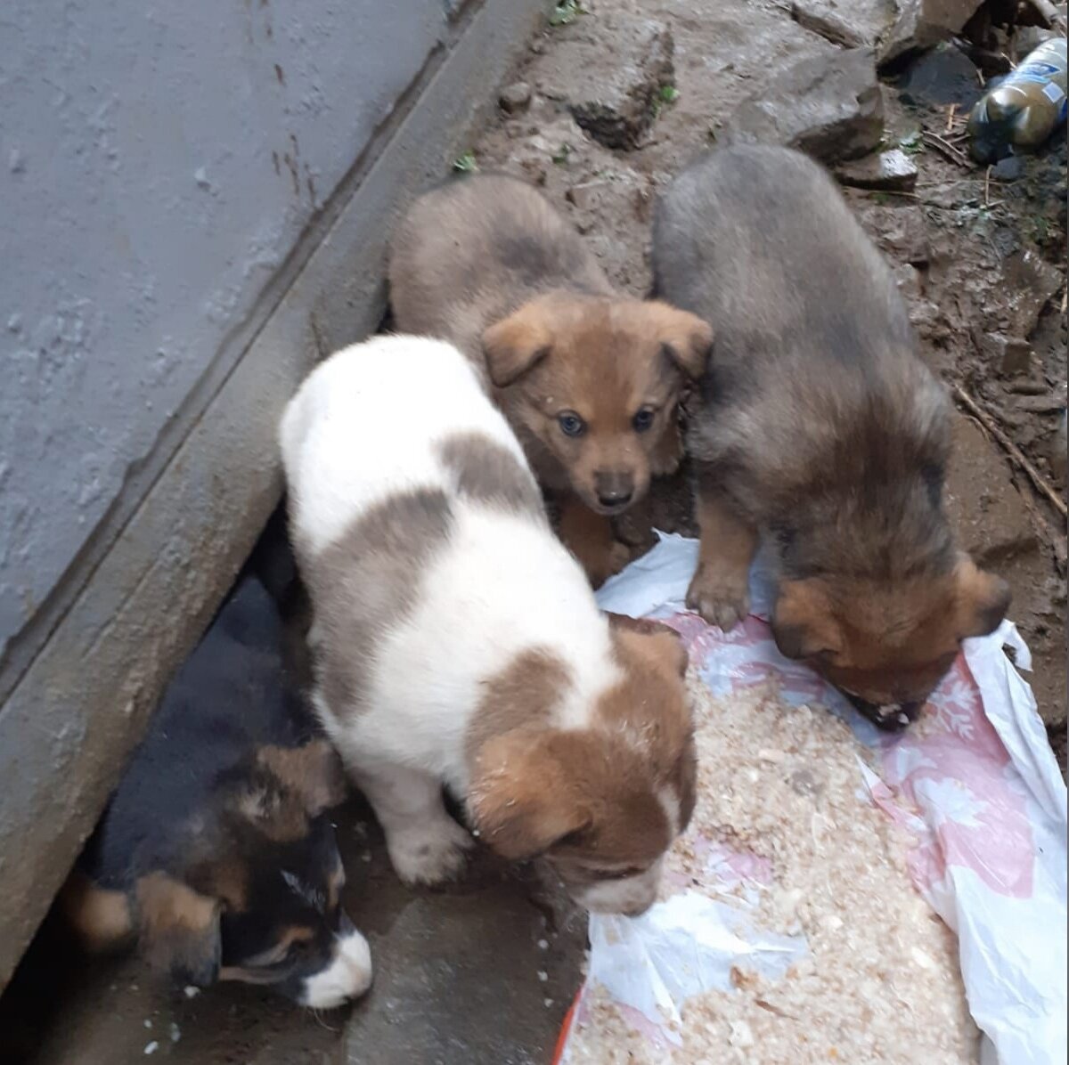 Фотография из личного архива