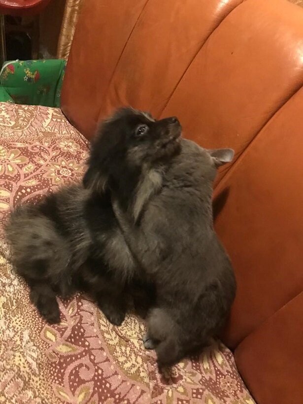 -Ура! (Это первая встреча.)