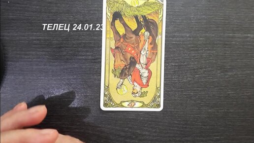 24 января телец. 24 января телец. 24 января телец. Hd бык на рабочий стол. 04.