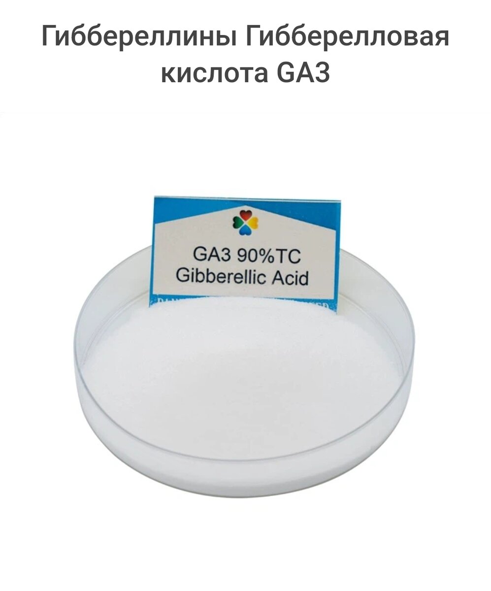 Gibberellins Gibberellic Acid GA3