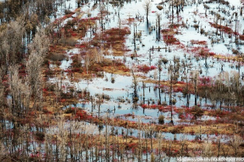    Фото: Дмитрий Кандинский / vtomske.ru