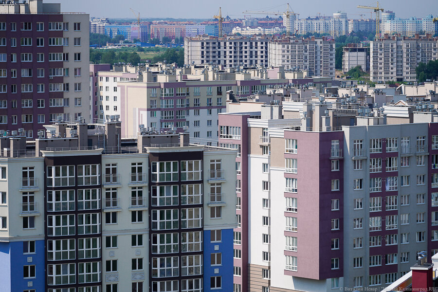 Фото: Виталий Невар / Новый Калининград