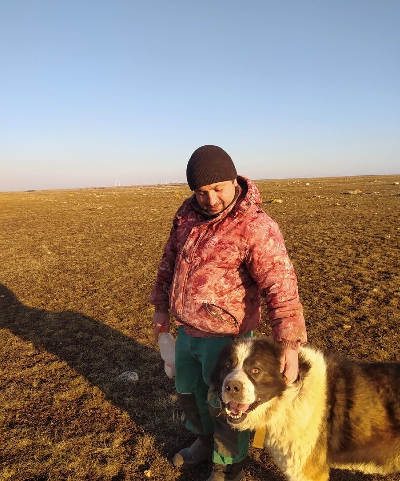 Ашот Гамзян на пастбище