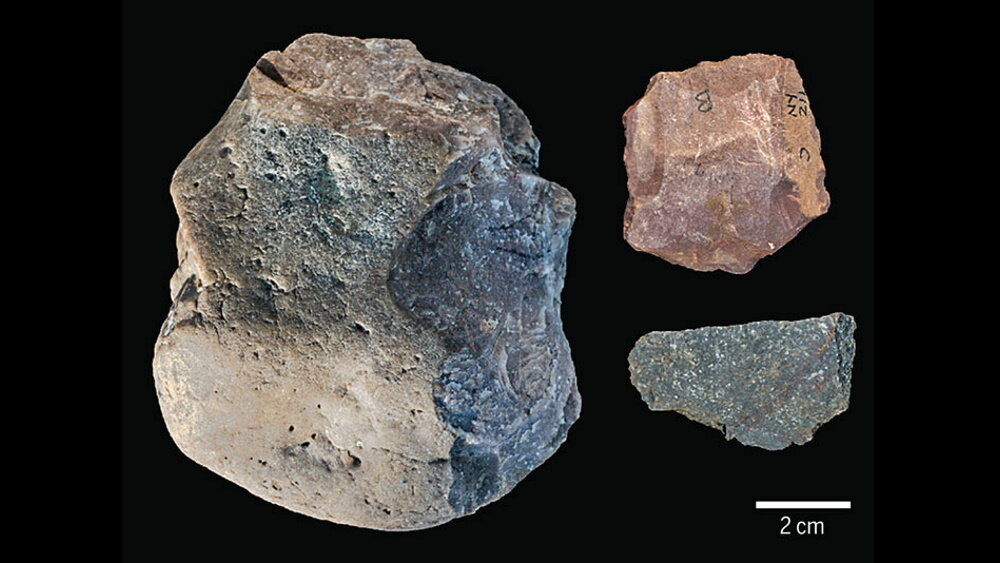    Фото: T.W. Plummer/Homa peninsula paleoanthropology project