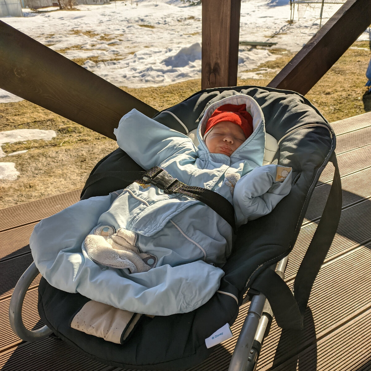 Мирно ловит витамины D  на террасе