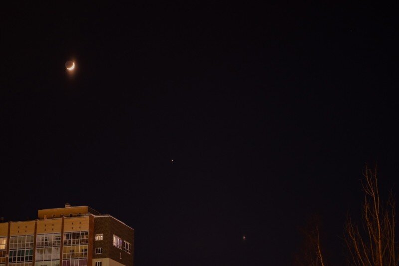 Фото Николая Грекалова 