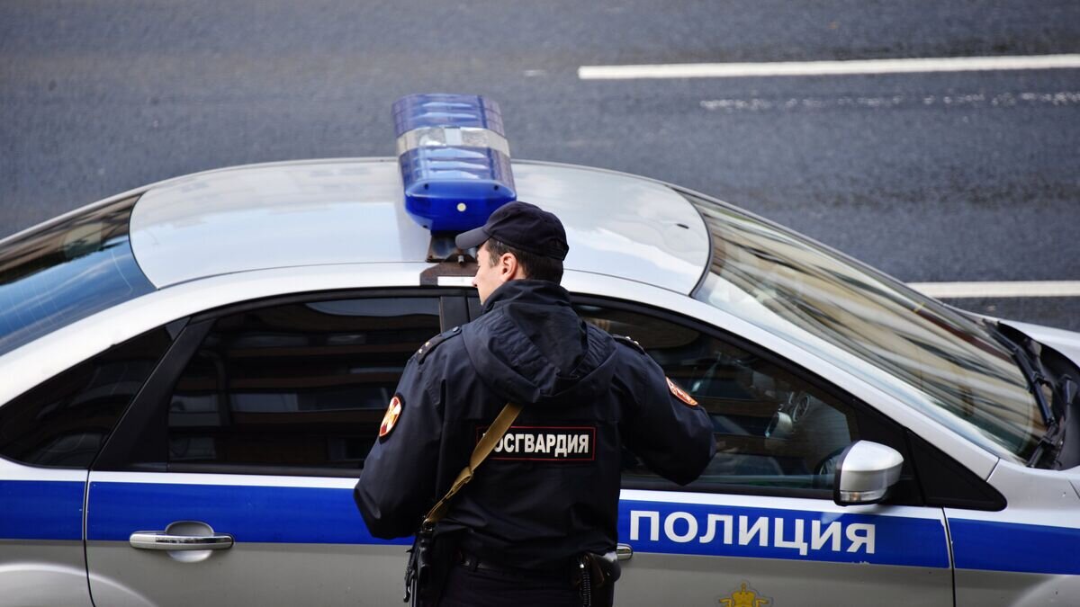    Автомобиль полиции© РИА Новости / Наталья Селиверстова