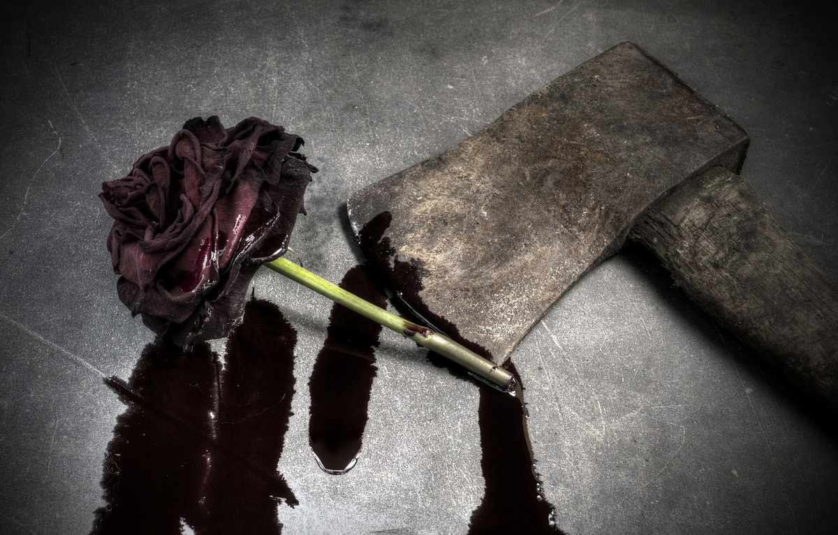 Из открытых источников Яндекс