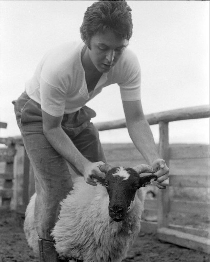 Альбом рэм маккартни. Paul and linda mccartney (1971). Linda mccartney 1971. Paul and linda mccartney ram 1971. Ram album paul mccartney 1971.