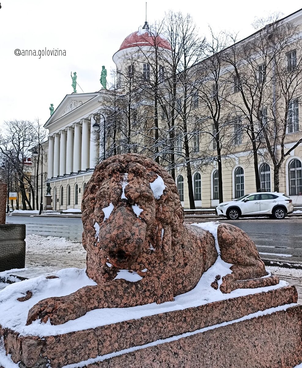 Пушкинский дом | Петербургские бродилки | Дзен