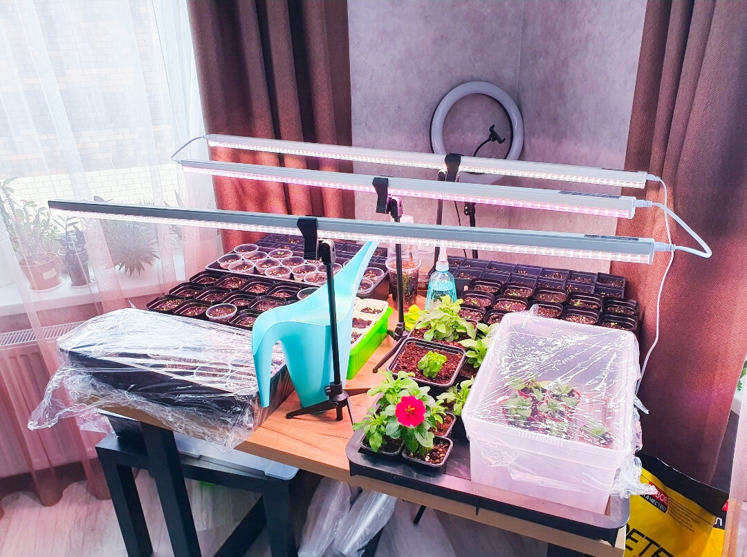 Стол для рассады с лампами