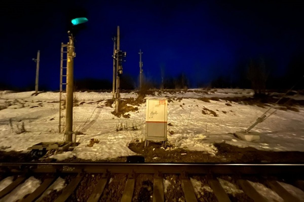    Полицейские задержали петербуржца за поджог релейного шкафа на ж/д путях