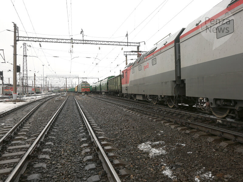    © Фото из архива ИА «PenzaNews»