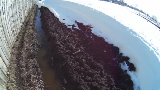 Ещё больше воды и грязи через день. Пашня впитывает, а минималка нет? Показываю почему отказался от минимальной обработки в холодном климате