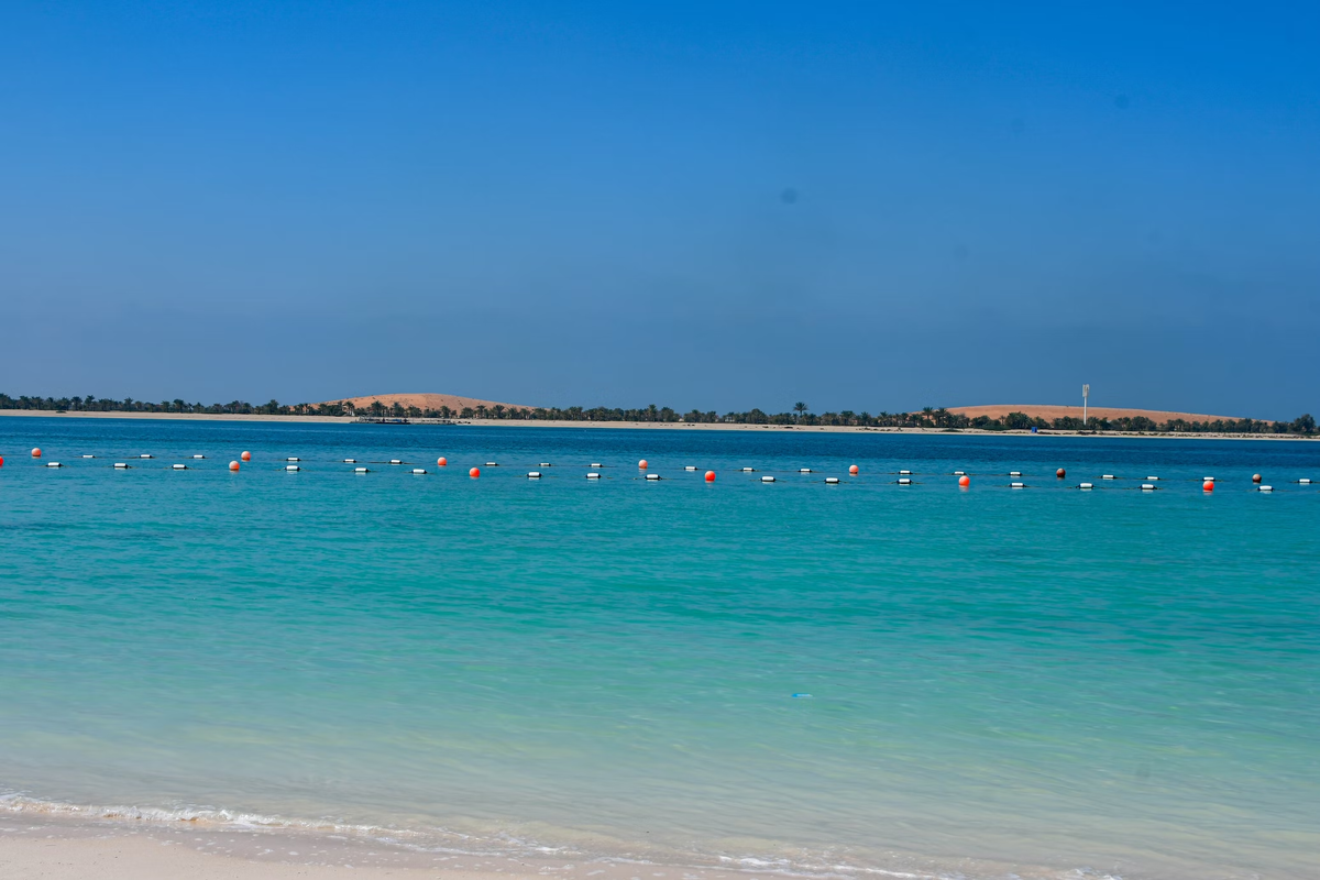 Почему стоит поехать в ОАЭ с детьми: отели, пляжи, развлечения