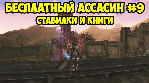 Книги и стабилки для БЕСПЛАТНОГО Ассасина в Lineage 2 Essence.