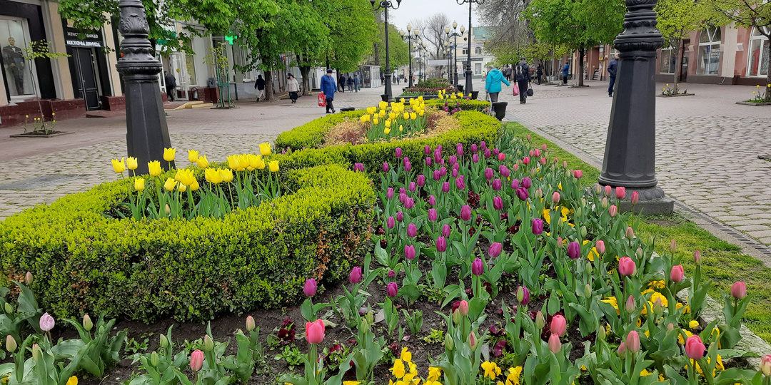 Весенний Ейск. Первая прогулка по городу