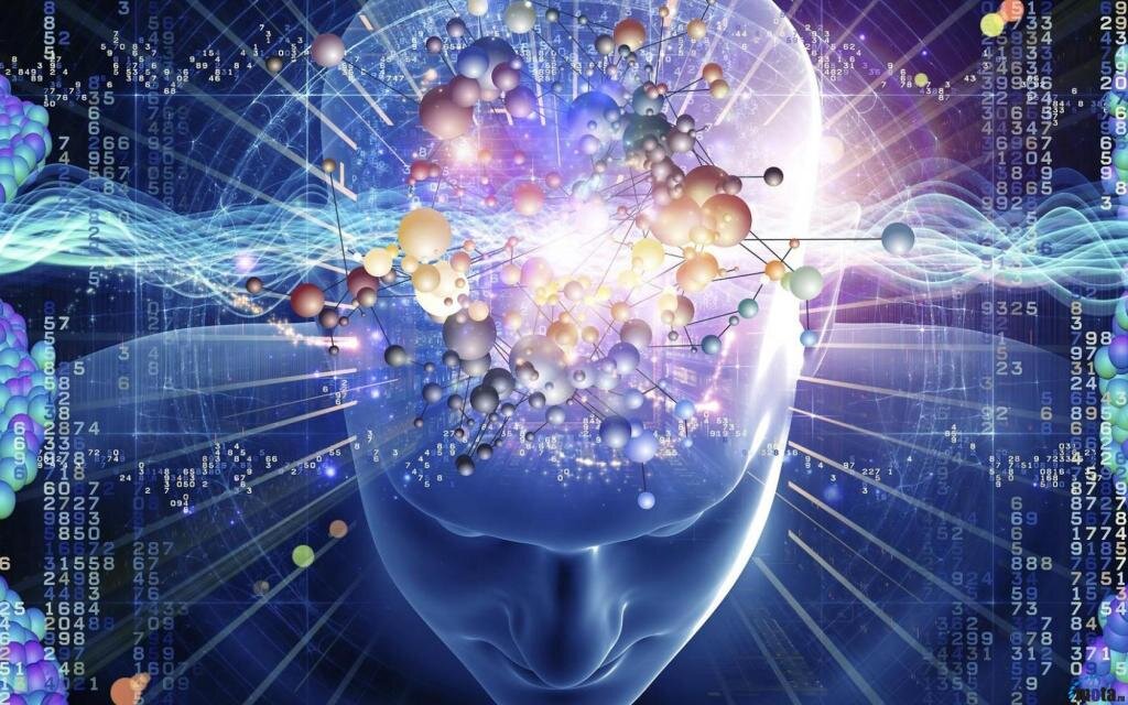 Фото из сети.