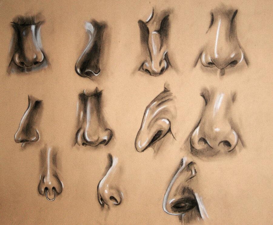 Типы носов курносый. Text noses. Карточки части тела для детей. Nose blowing. Поэтапное рисование носа.