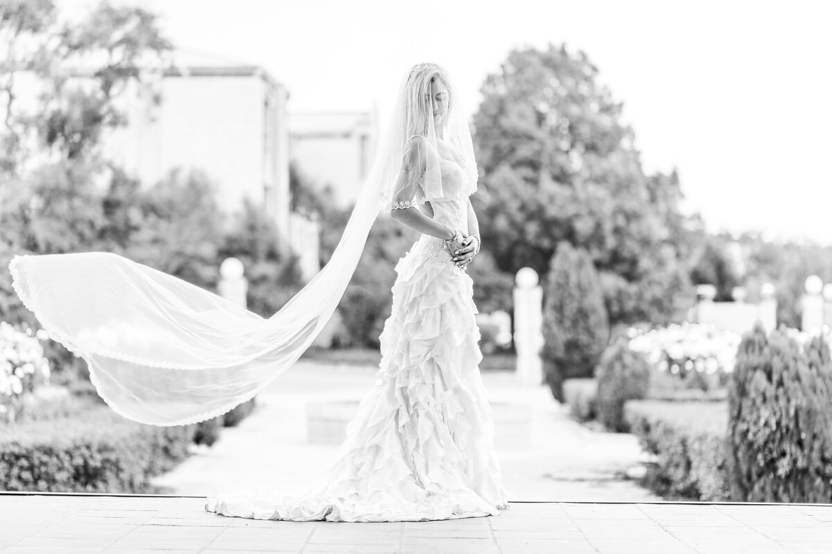 Фотография взята из открытых источников.