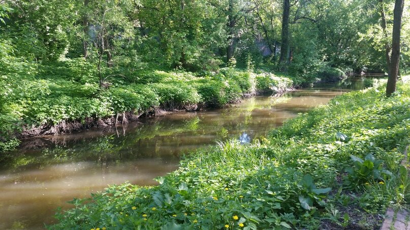 Пойма реки Яуза близ Осташковской улицы