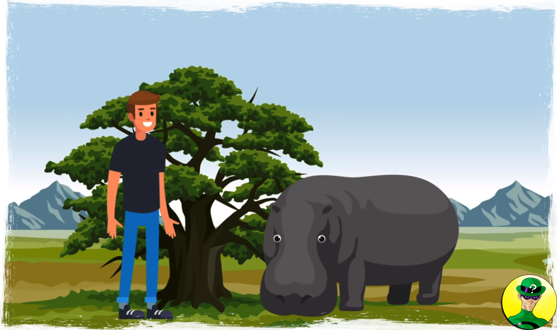 Какой удивлённый бегемот, а вы просто излучаете счастье..)