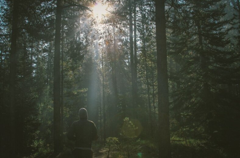 Фото: Dustin Scarpitti, Unsplash 