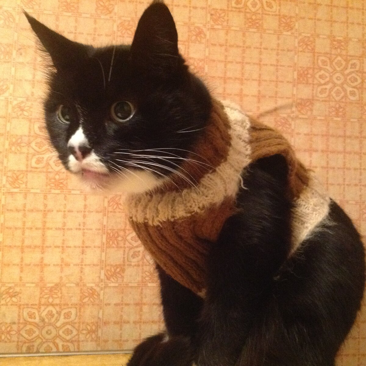 Борис в жилетке