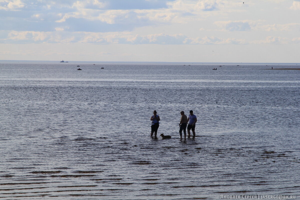 Белое море зимой. Белое море природа. Побережье белого моря. Северная карелия берег белого моря. Беломорье карелия.