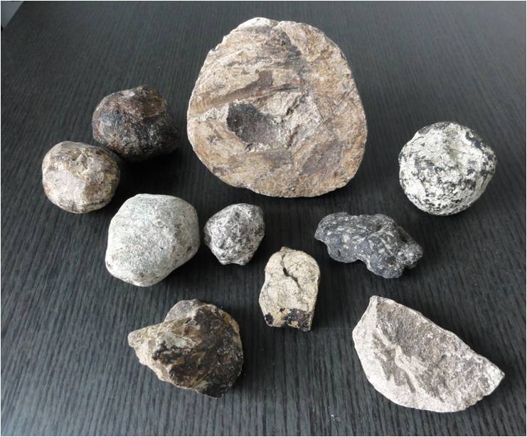 белая амбра