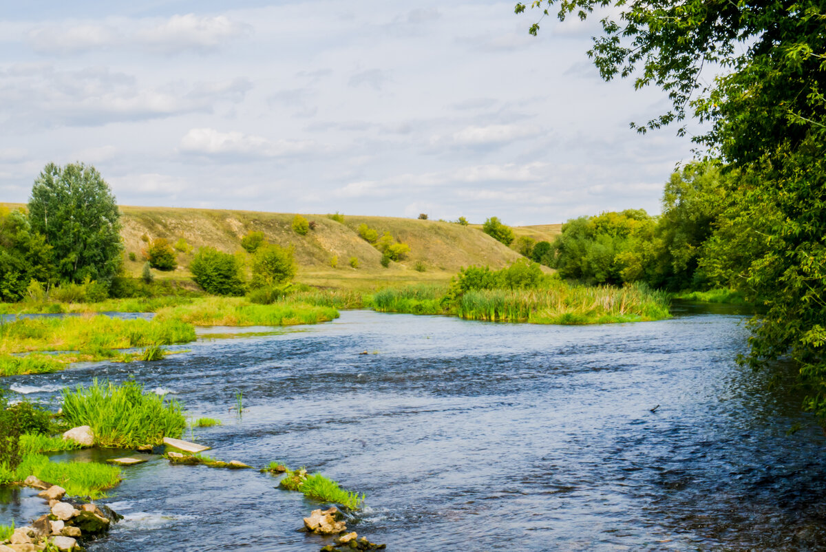 Село сергиевское. Река красивая меча Ефремовский район. Река красивая меча Липецкая область. Кочергинка Ефремовский район красивая меча. Шексна река красивая меча.