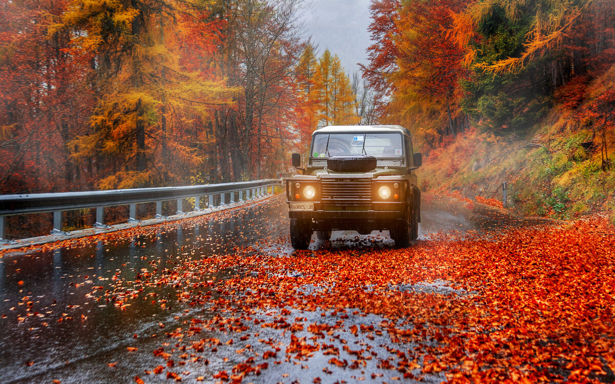Романтика осени.