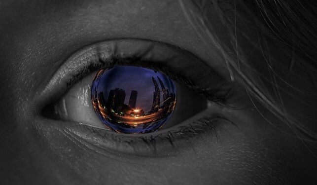 Фото из свободных источников