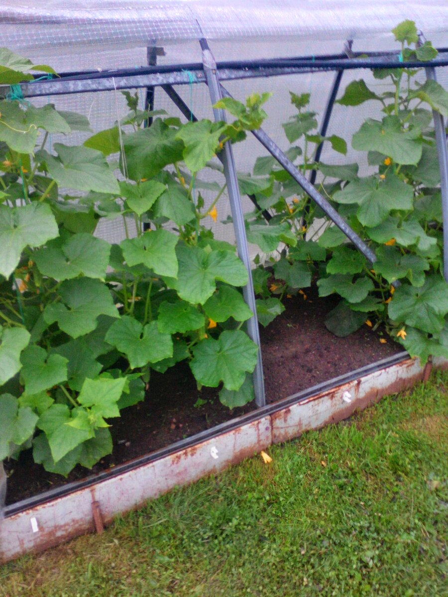 Фото из личного архива