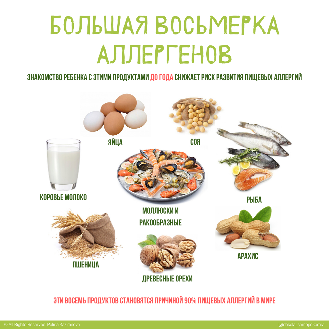 Пищевая аллергия vs непереносимость. Большая восьмерка аллергенов. | Школа  Самоприкорма | Дзен