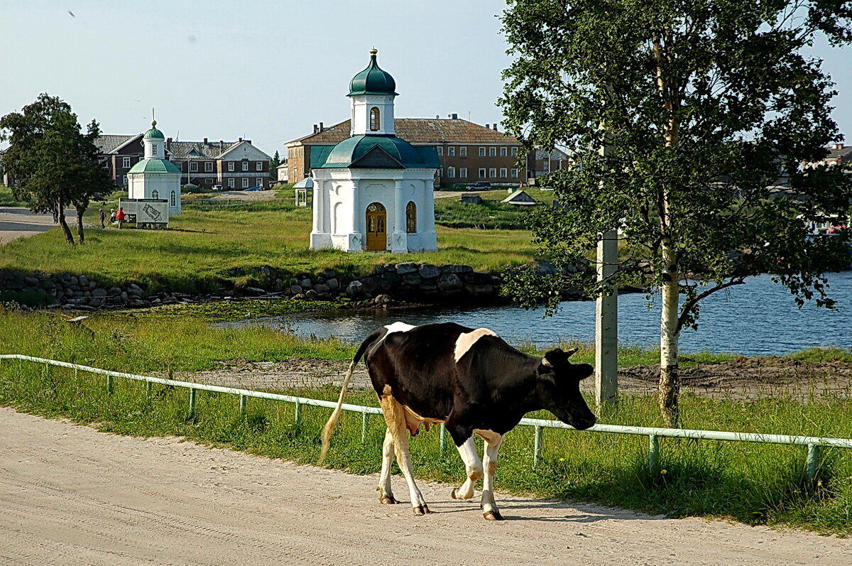 По дороге прогуливается местная жительница.