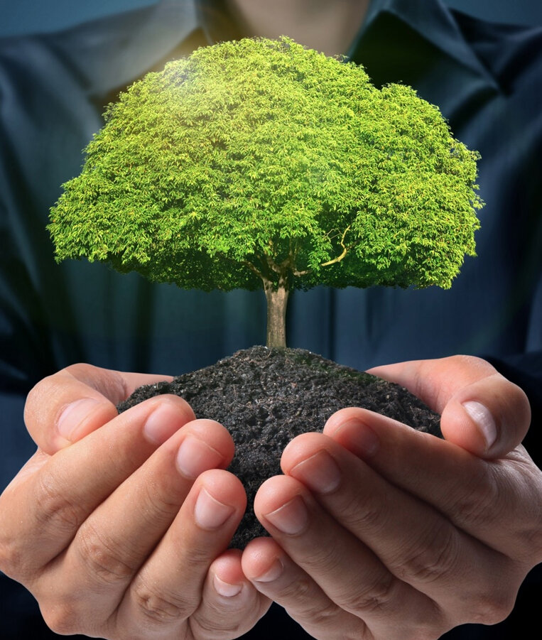 Источник: Яндекс. Картинки.