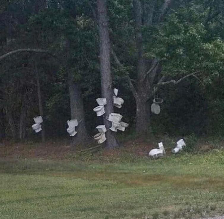 Источник 4tololo 