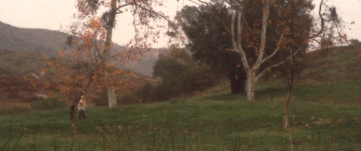 Неелисейские поля