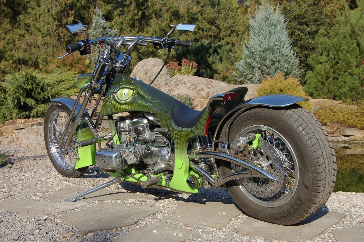 фото из открытых источников