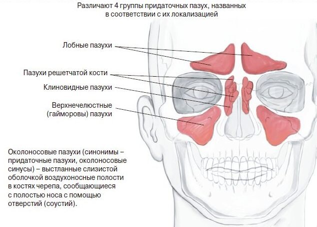 Полипы носа